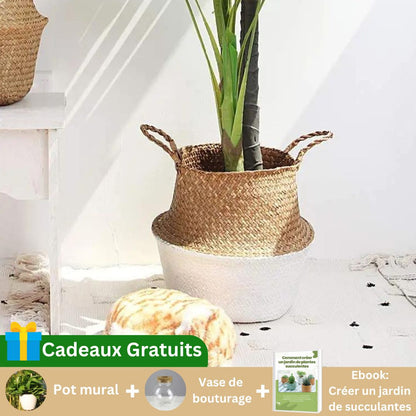 Tendance Osier™ | Cache - pot élégant - Passion Horticulture