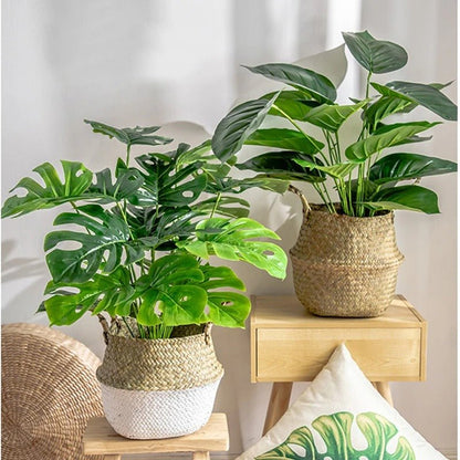 Tendance Osier™ | Cache - pot élégant et pratique - Passion Horticulture
