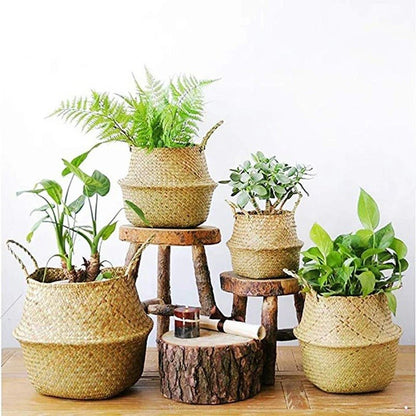 Tendance Osier™ | Cache - pot élégant et pratique - Passion Horticulture