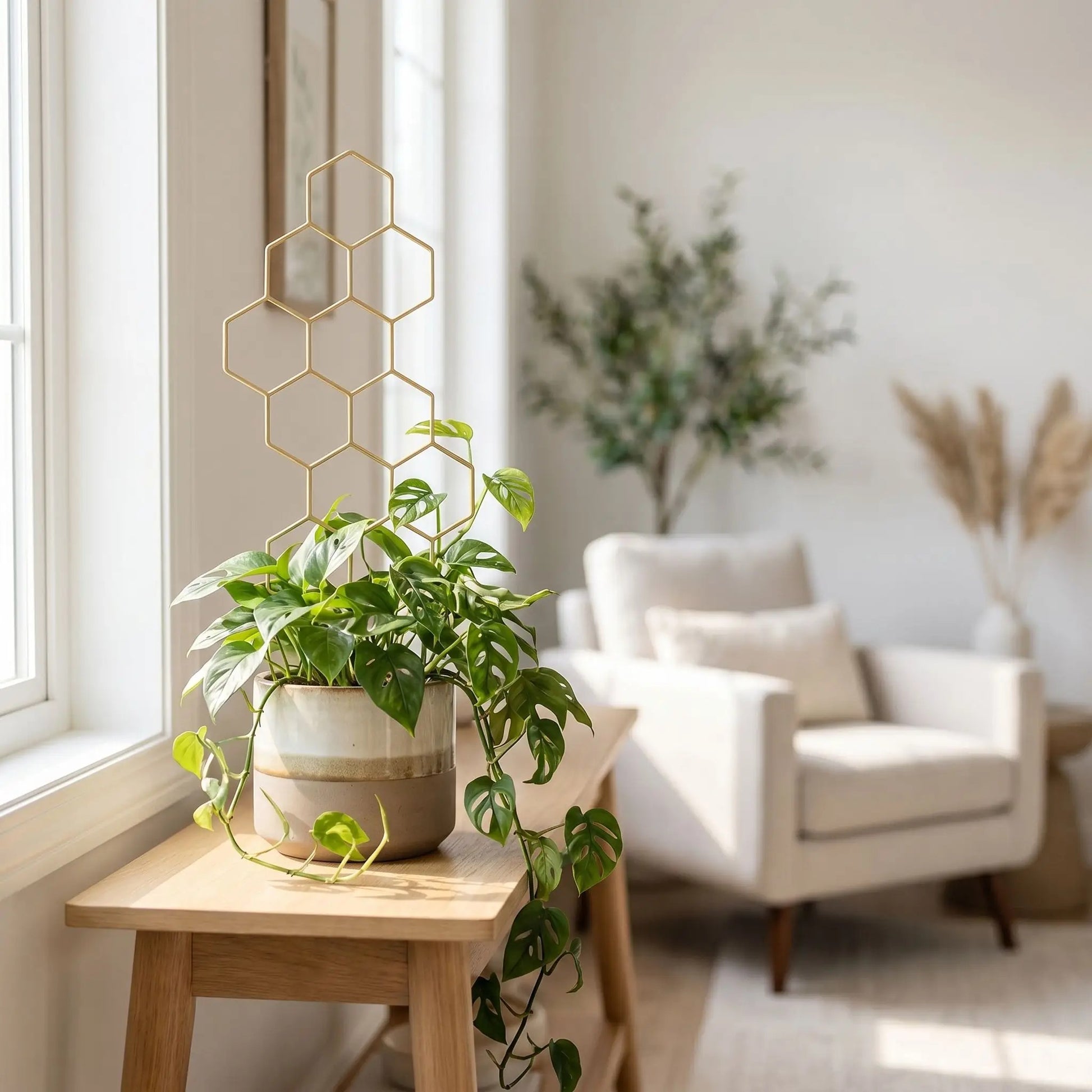 treillis-plantes-grimpantes-intérieur