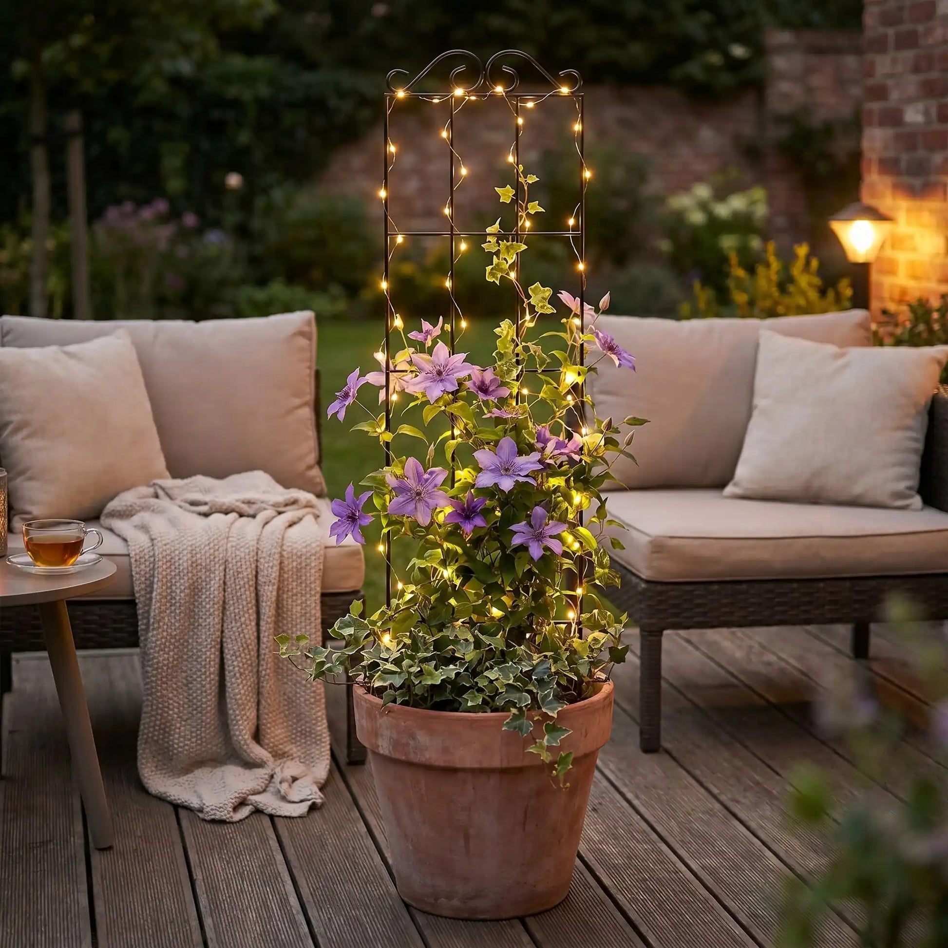 treillis-plantes-grimpantes-terrasse