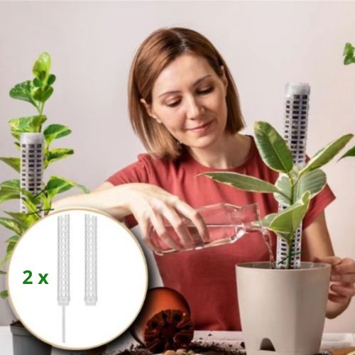 tuteur-plante-blanc