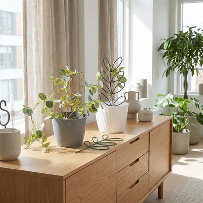 tuteur-plante-deux-couleurs