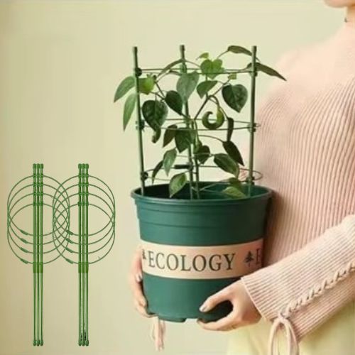 tuteur-plante-deux