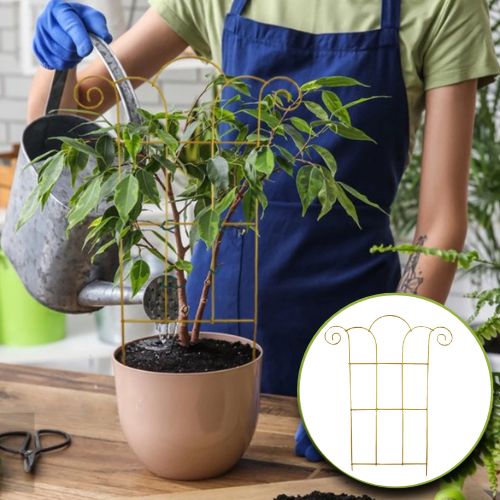 tuteur-plante-deux