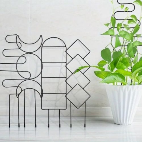 tuteur-plante-ensemble