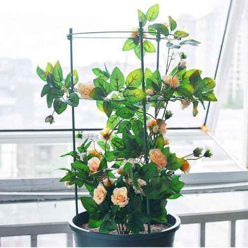tuteur-plante-extérieur