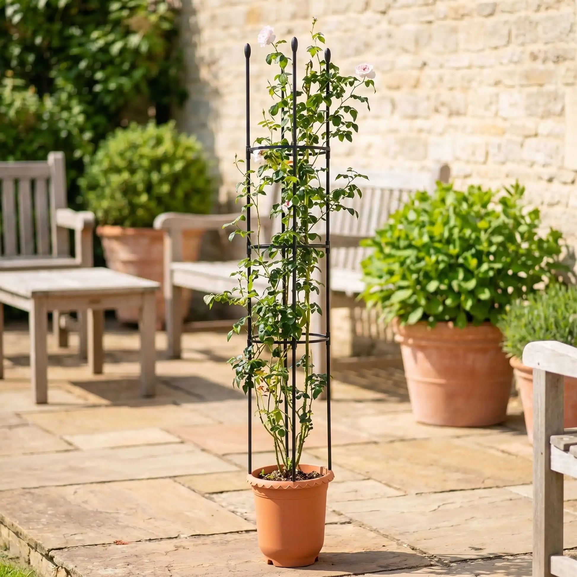 tuteur-plante-fleurs