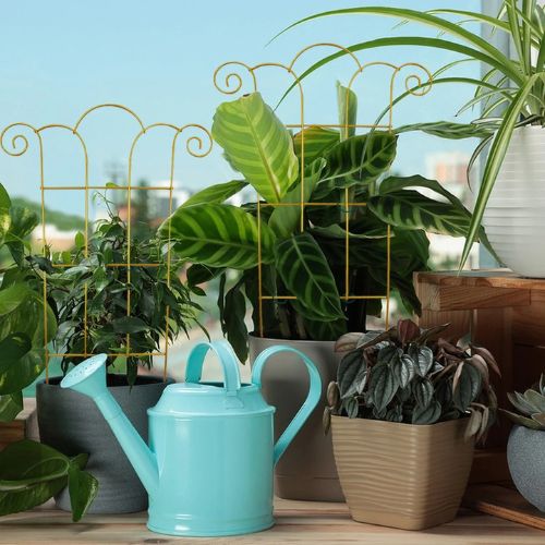 tuteur-plante-intérieur
