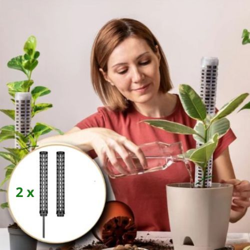 tuteur-plante-noir