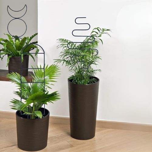 tuteur-plante-pot