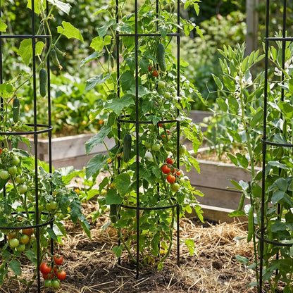 tuteur-plante-potager