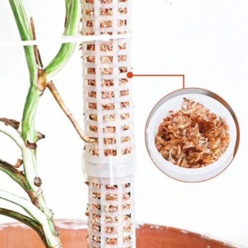 tuteur-plante-racines