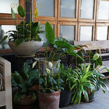 tuteur-plante-résistant