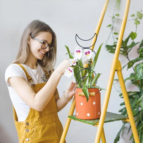 tuteur-plante-robuste