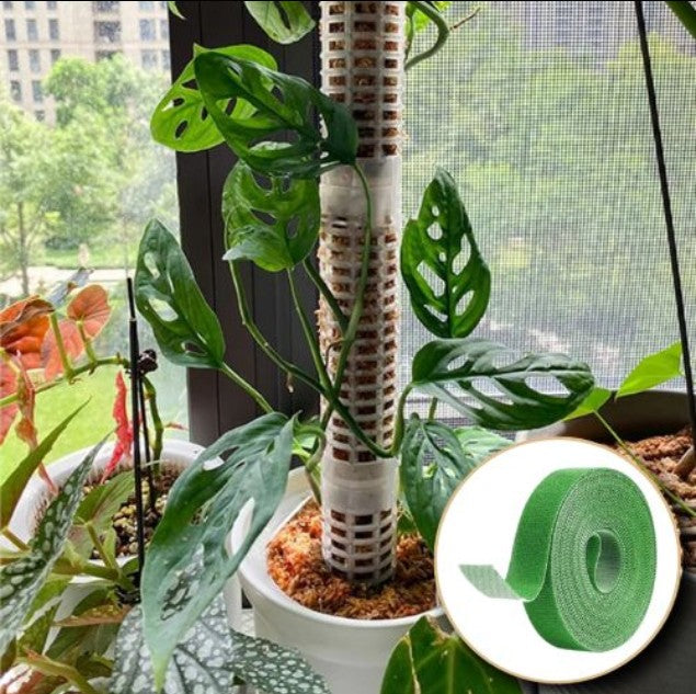 tuteur-plante-robuste