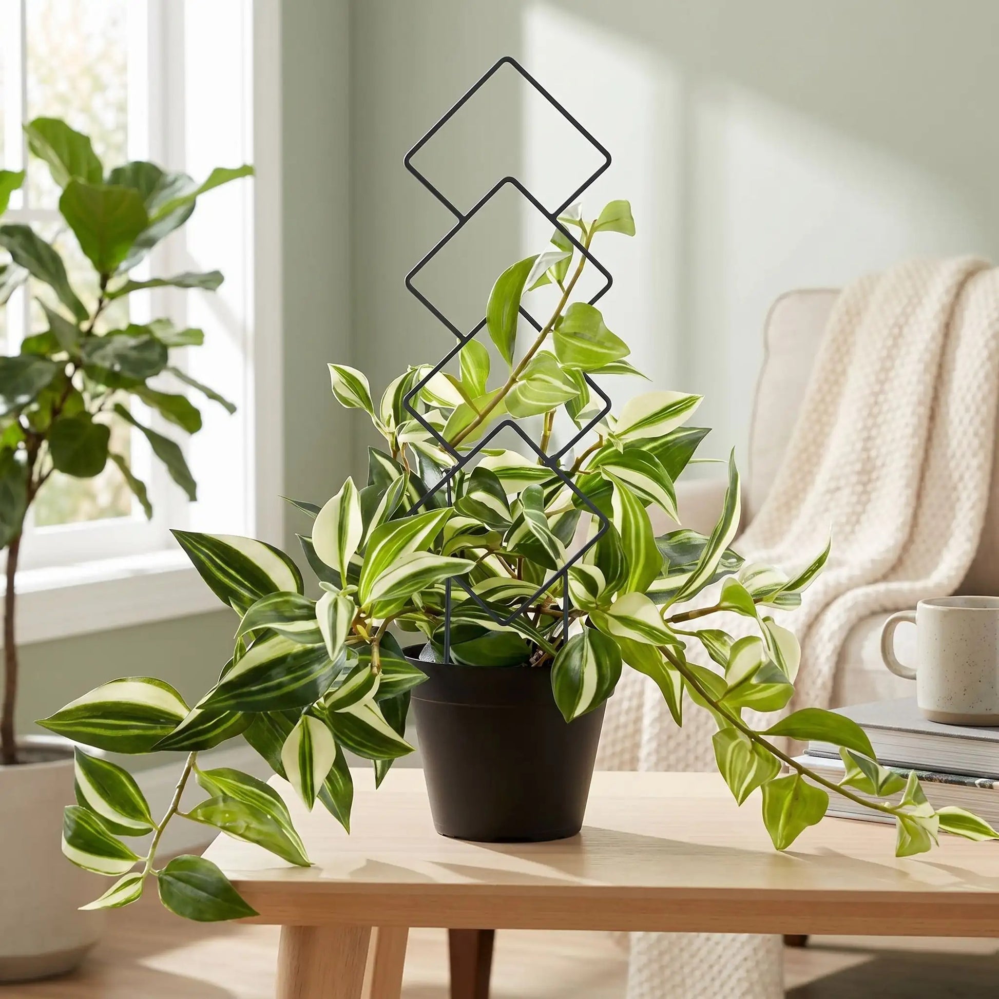 tuteur-plante-salon