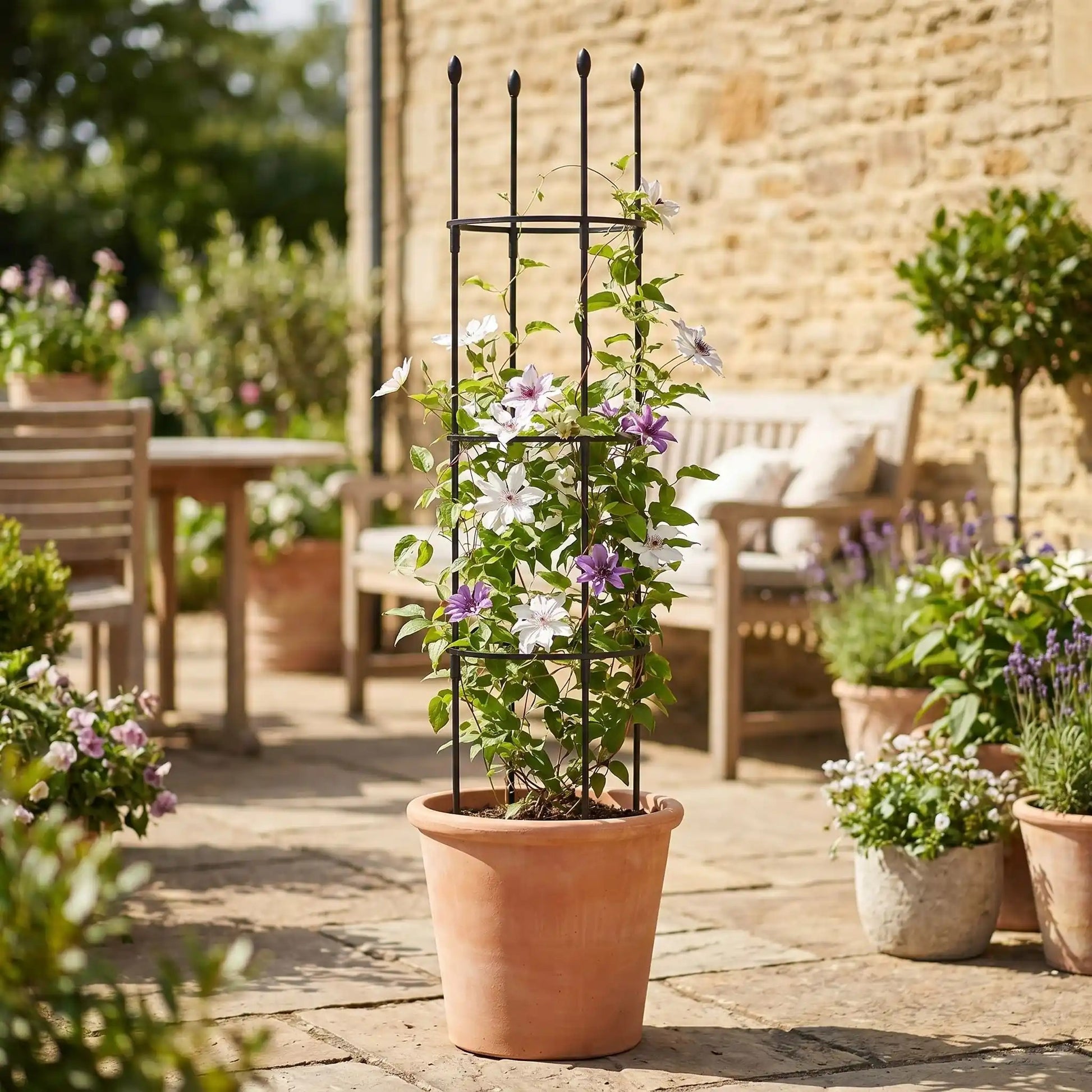 tuteur-plante-solide