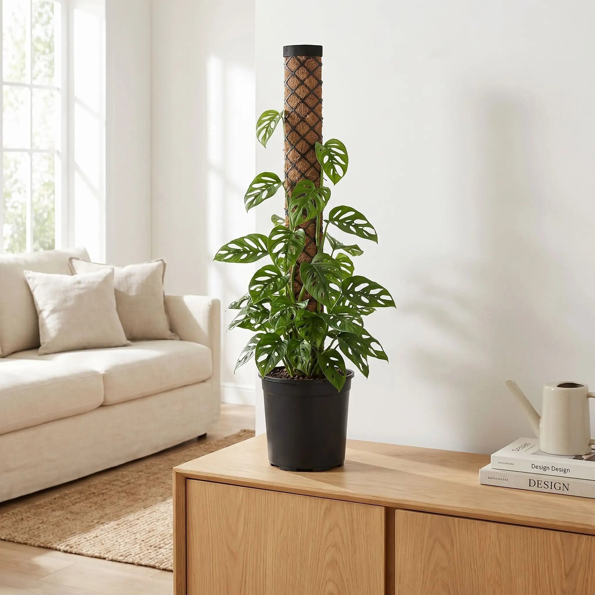 tuteur-plante-solide