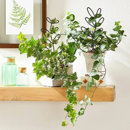 tuteur-plante-tablette