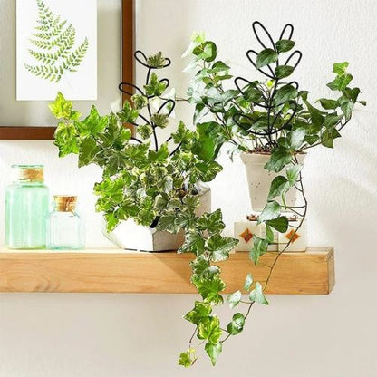 tuteur-plante-tablette