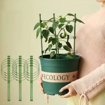 tuteur-plante-trois