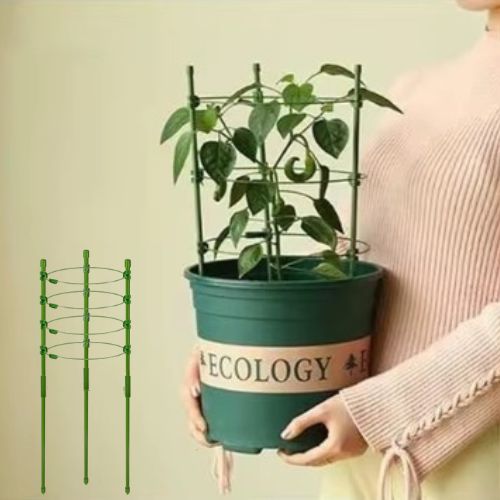 tuteur-plante-un
