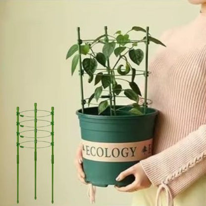 tuteur-plante-un