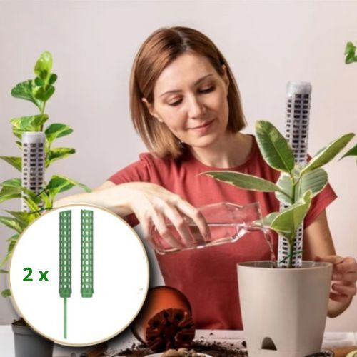 tuteur-plante-vert