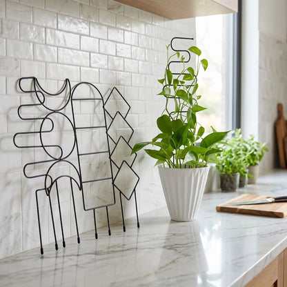 tuteur-plante 