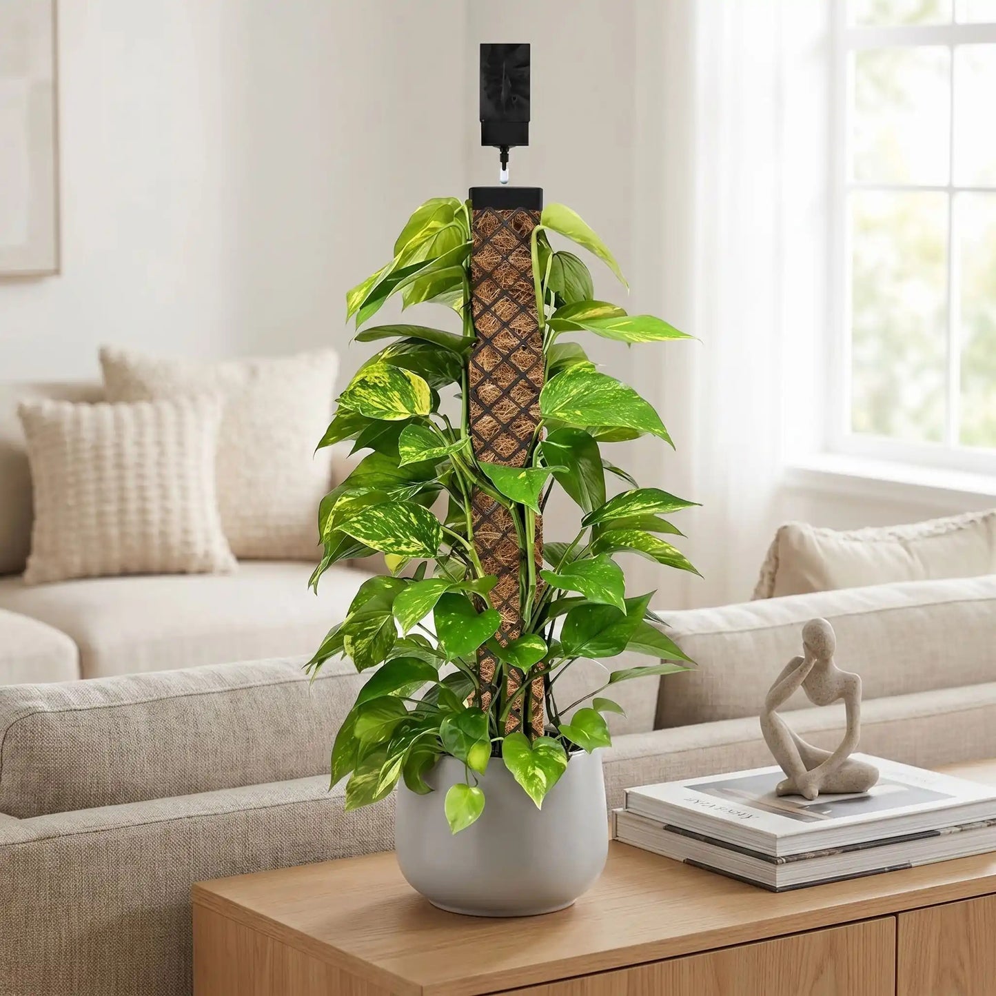 tuteur-plante
