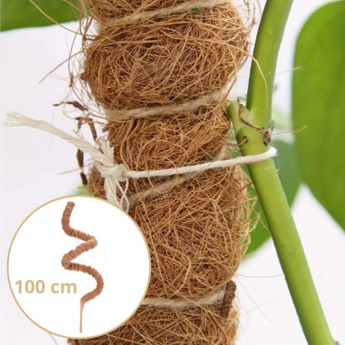 tuteur-pour-plante-100cm