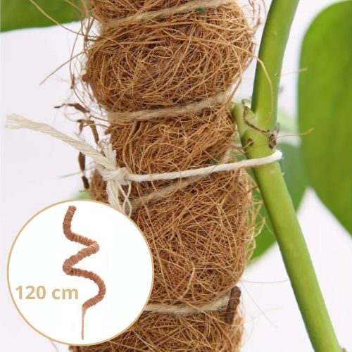 tuteur-pour-plante-120cm