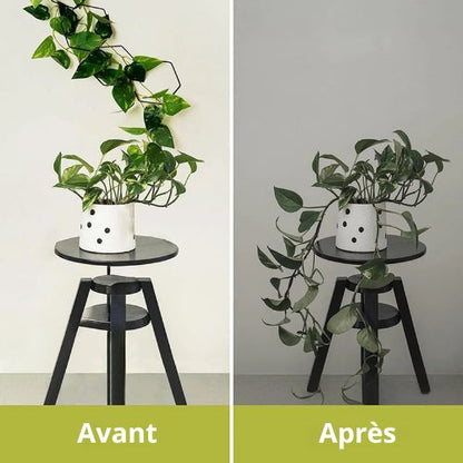 tuteur-pour-plante-avant