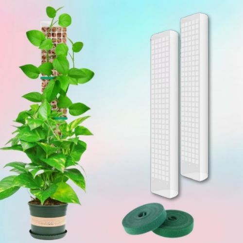 tuteur-pour-plante-grimpante-deux