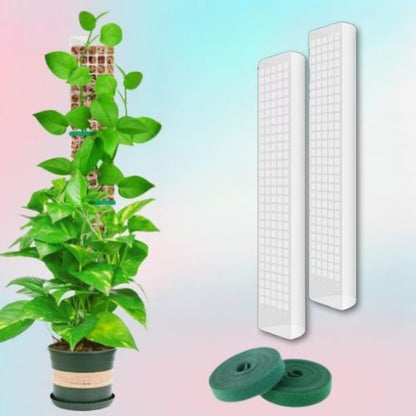 tuteur-pour-plante-grimpante-deux