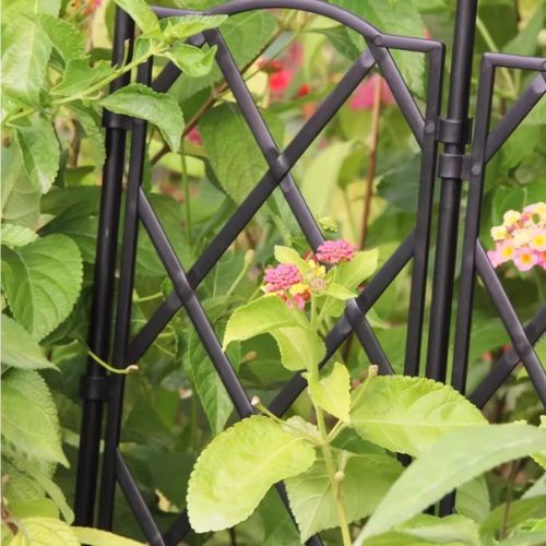 tuteur-pour-plante-grimpante-discret