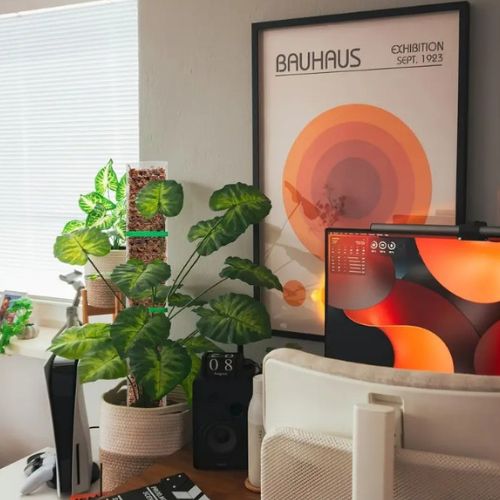 tuteur-pour-plante-grimpante-esthétique