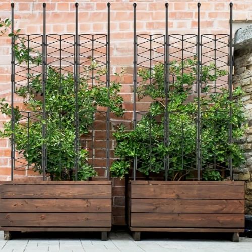 tuteur-pour-plante-grimpante-hauteur