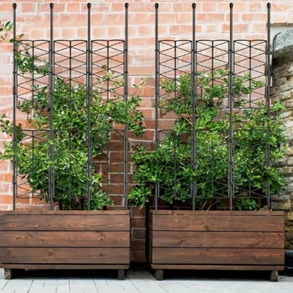 tuteur-pour-plante-grimpante-hauteur