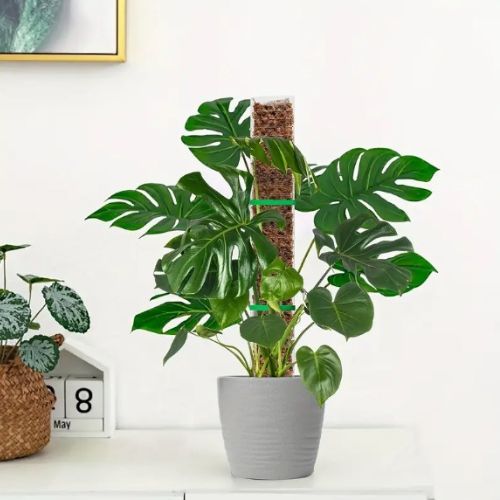 tuteur-pour-plante-grimpante-joli