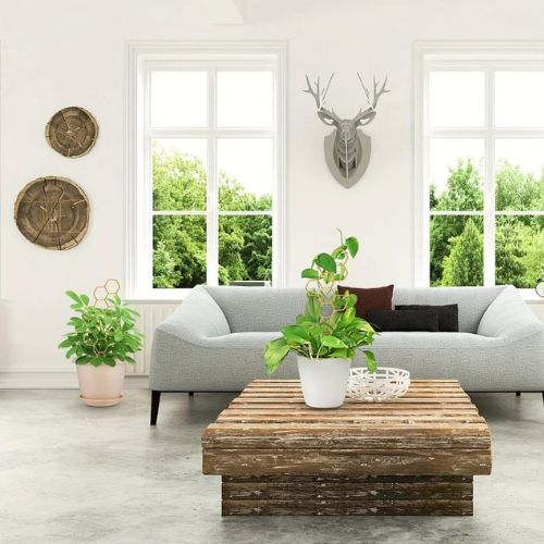 tuteur-pour-plante-grimpante-moderne