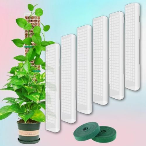 tuteur-pour-plante-grimpante-six