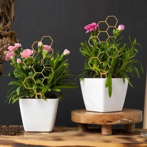 tuteur-pour-plante-grimpante