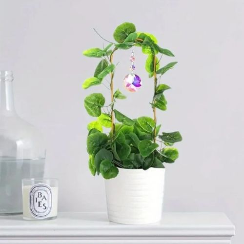 tuteur-pour-plante-intérieur