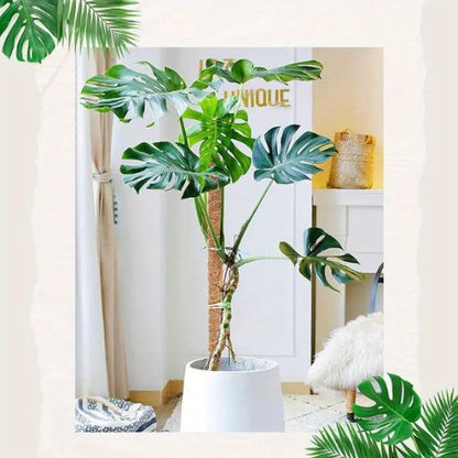 tuteur-pour-plante-naturel