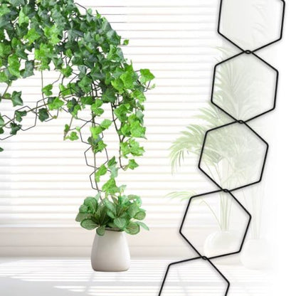 tuteur-pour-plante-noir