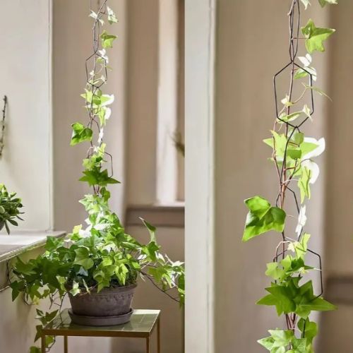 tuteur-pour-plante-pendentif