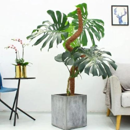tuteur-pour-plante-stable
