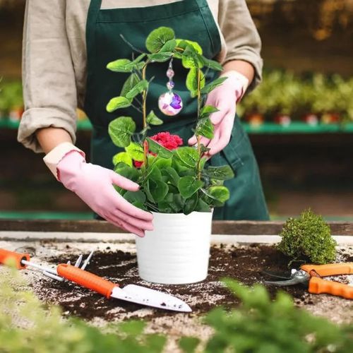 tuteur-pour-plante-support